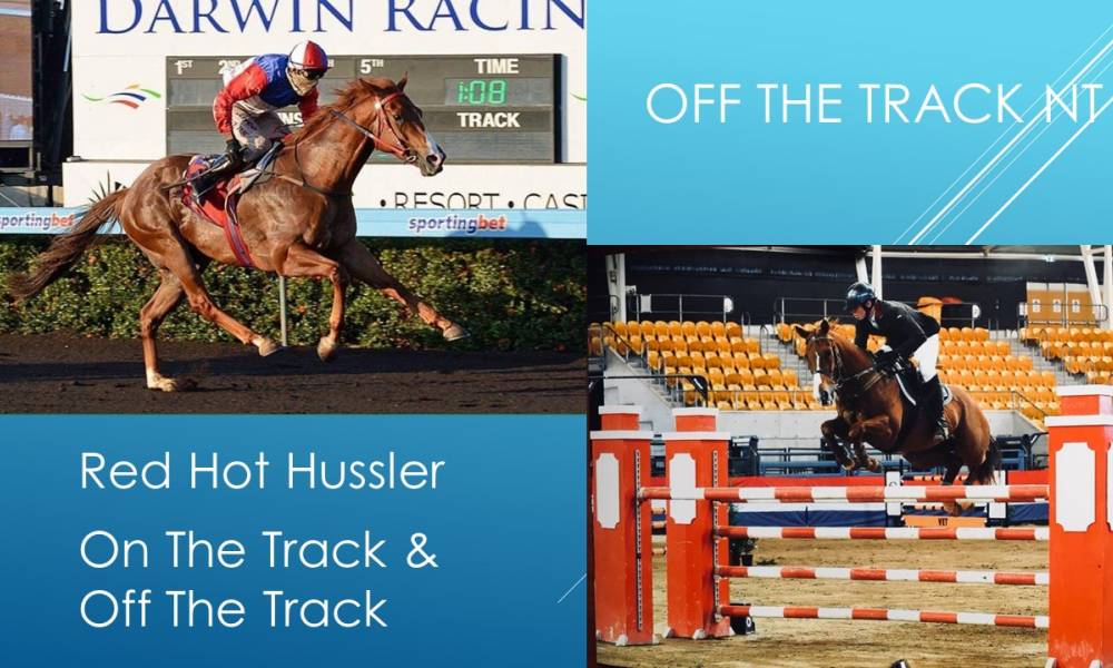 Article image for On The Track & Off The Track