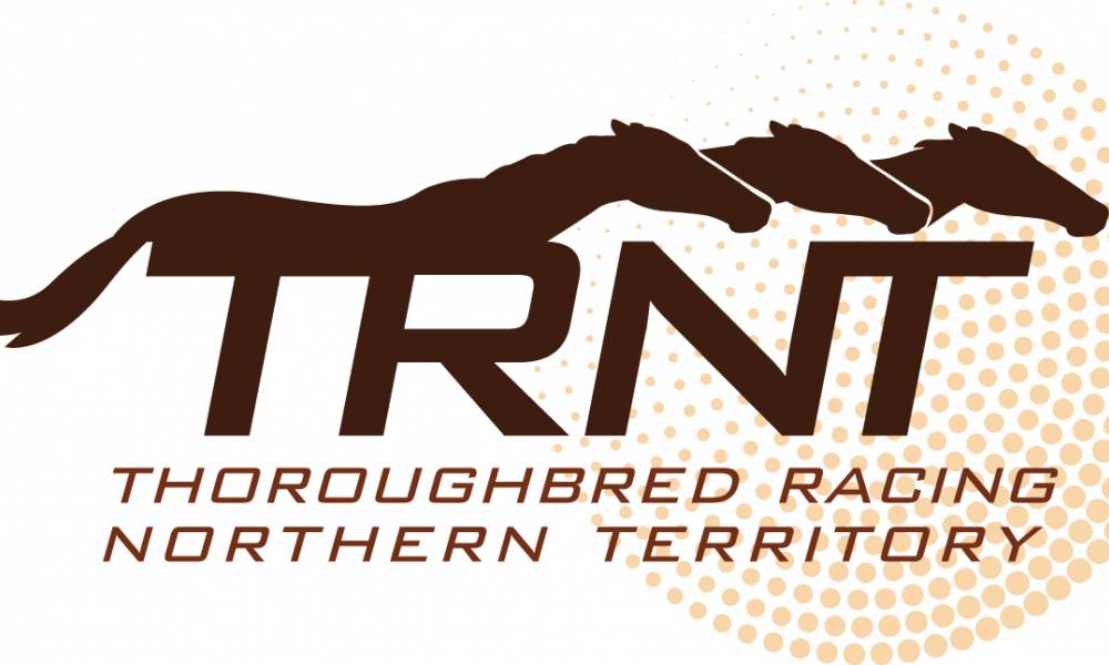 Article image for TRNT Independent Board Member application now open