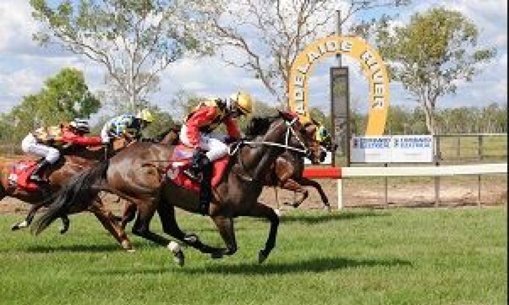 Article image for Full steam ahead to Adelaide River Cup meeting
