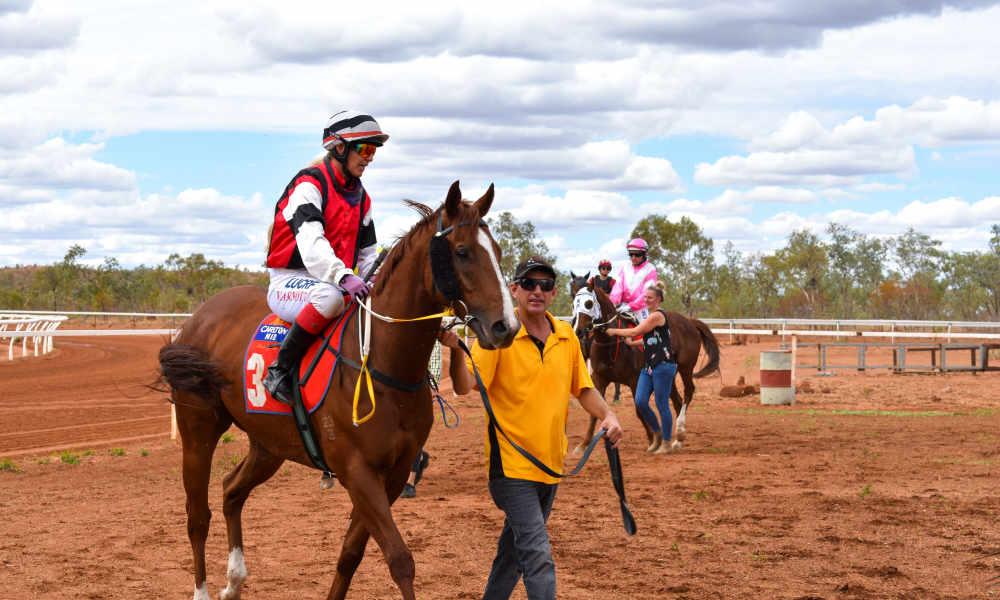 Article image for Tennant Creek race day wrap up