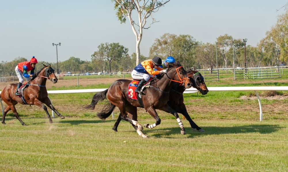 Article image for Adelaide River 1st June 2019