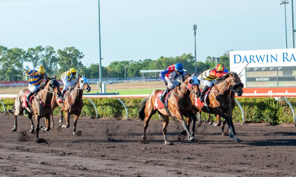 Article image for Race day wrap up 15th June 2019