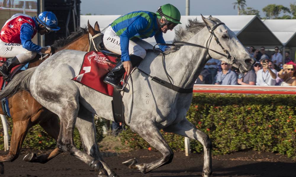 Article image for Great Northern Darwin Cup Day